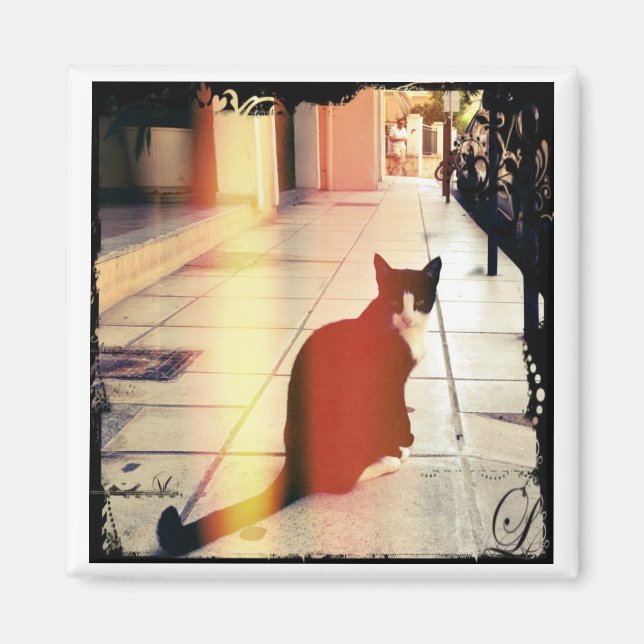 Aimant Un chat (Devant)