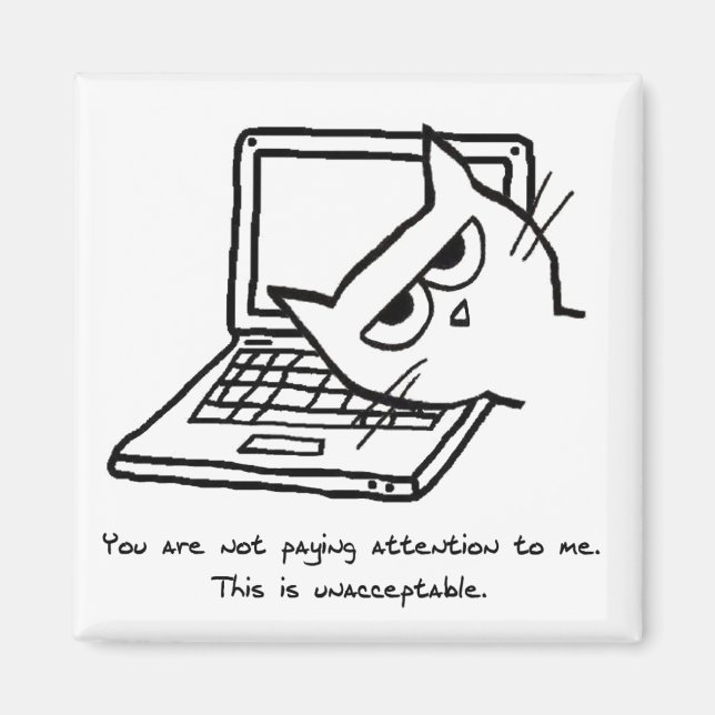 Aimant Un Chat En Colère Demande De L'Attention - Drôle A (Devant)