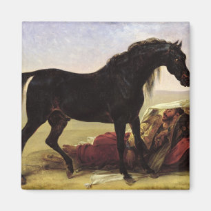Aimant Un cheval Arabe