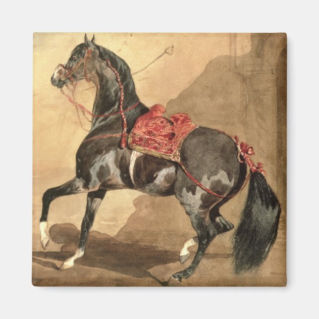 Aimant Un cheval d'Arabie (avec une feuille de papier) (Devant)
