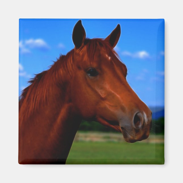 Aimant Un cheval fier (Devant)