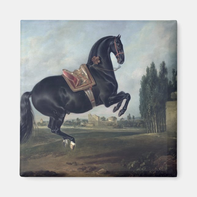 Aimant Un cheval noir exécutant la Courbette (Devant)