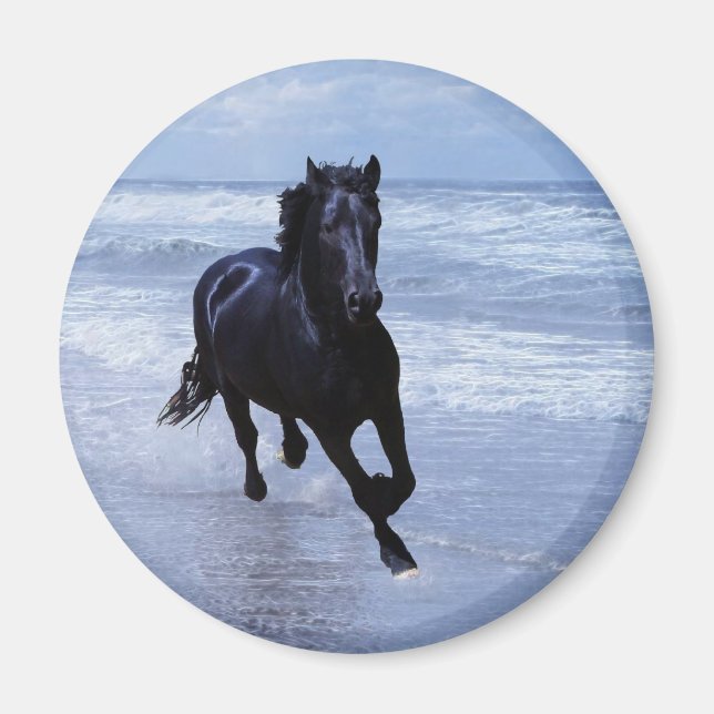 Aimant Un cheval sauvage et libre (Devant)