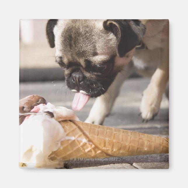 Aimant Un chien mange une glace sur un trottoir (Devant)