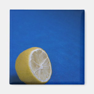 Aimant Un citron méditerranéen