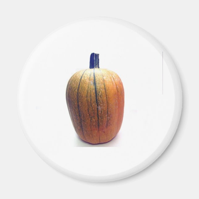 Aimant Un Citrouille orange (Devant)