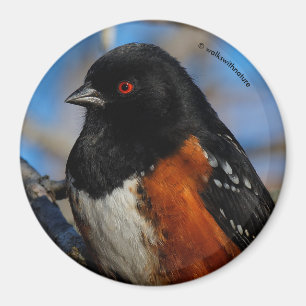 Aimant Un cou tacheté dans un arbre