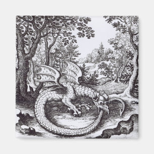 Aimant Un dragon dans la forêt