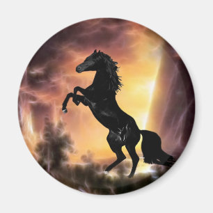 Aimant Un élevage frison de cheval d'étalon