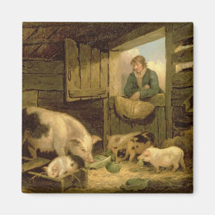 Aimant Un garçon regardant dans une étable de porc, 179