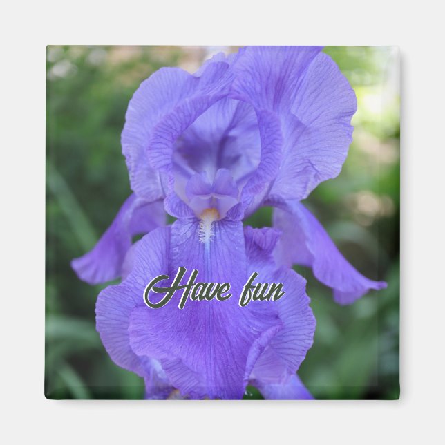 Aimant Un Iris Délicat Délicat Danseuse Violette (Devant)