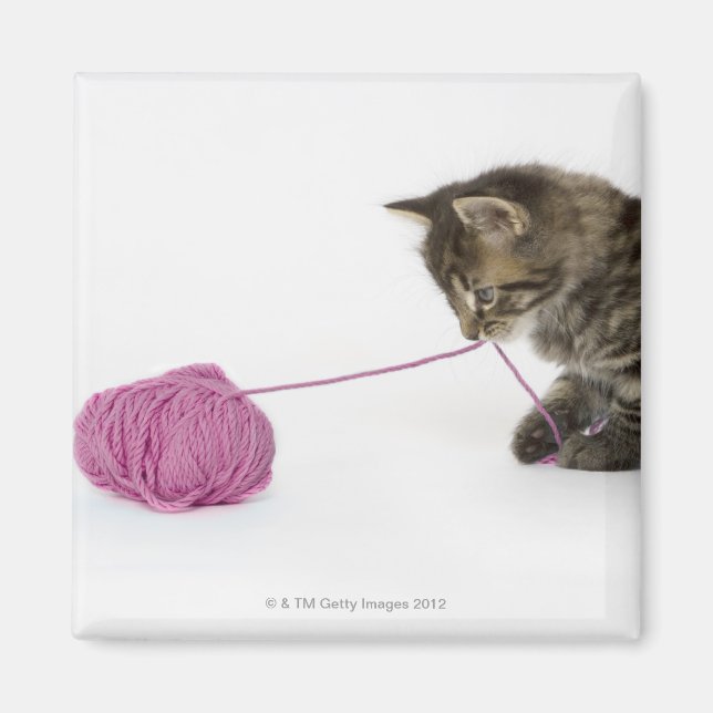 Aimant Un jeune chaton à table jouant avec une boule de (Devant)