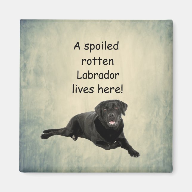 Aimant Un Labrador Tourbé Mal Vit Ici (Devant)