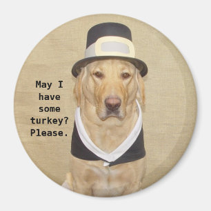 Aimant Un pèlerin béni