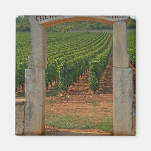 Aimant Un portique en pierre du vignoble