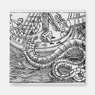 Aimant Un Serpent De Mer