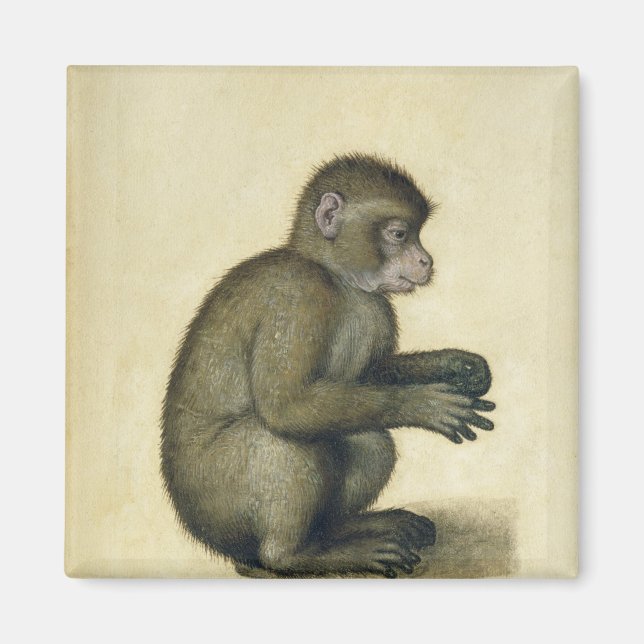 Aimant Un singe (Devant)