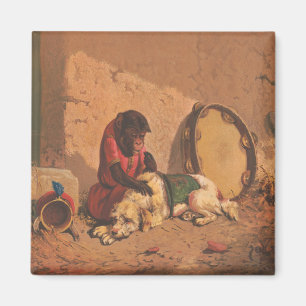 Aimant Un Singe Et Un Chien Avec Un Grand Tambourin