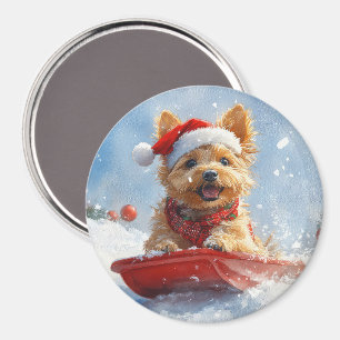 Aimant Un Terrier australien à la luge, qu'il neige Noël