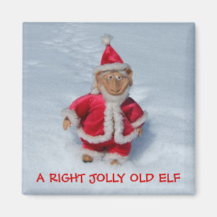 AIMANT UN TRÈS VIEUX FELF JOLLY.