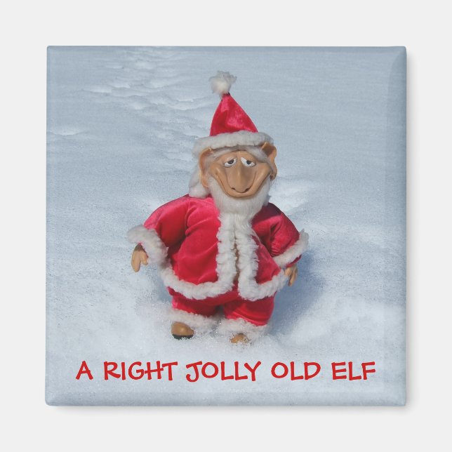 AIMANT UN TRÈS VIEUX FELF JOLLY. (Devant)