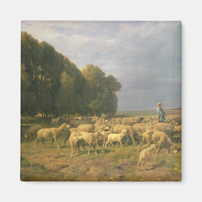 Aimant Un troupeau de moutons dans un paysage (Devant)