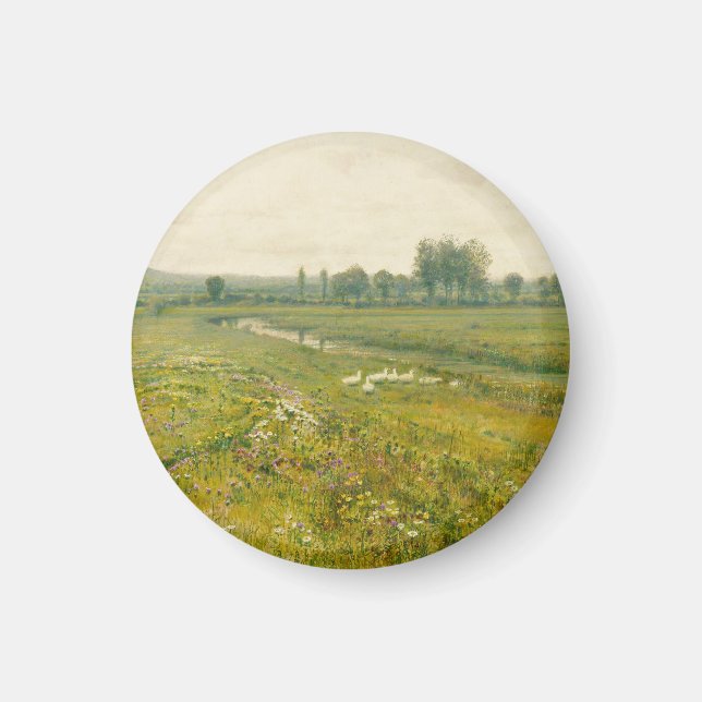Aimant Un vaste paysage de prairie avec des oies (Devant)