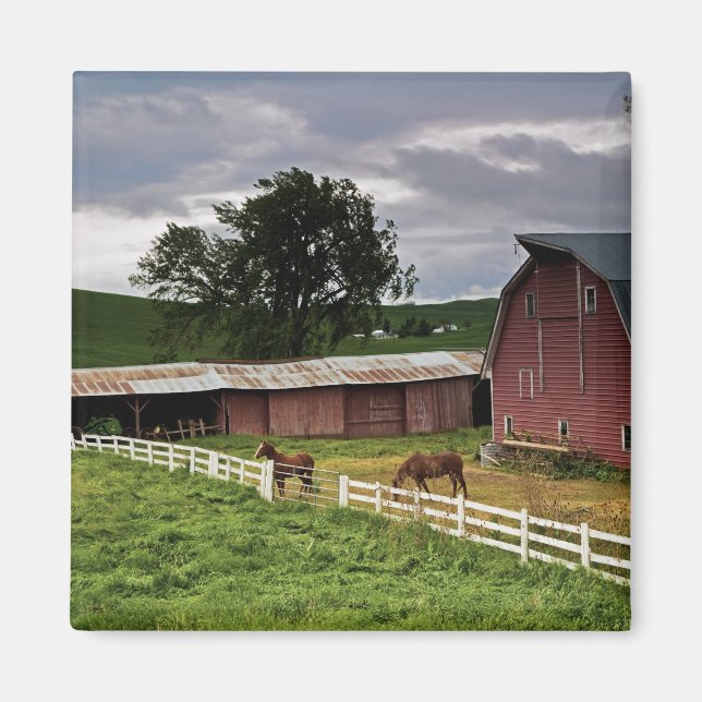 Aimant Une balade à travers le pays agricole de Palouse 4 (Devant)