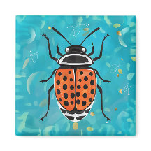 Une coccinelle aux taches noires et rayures orange