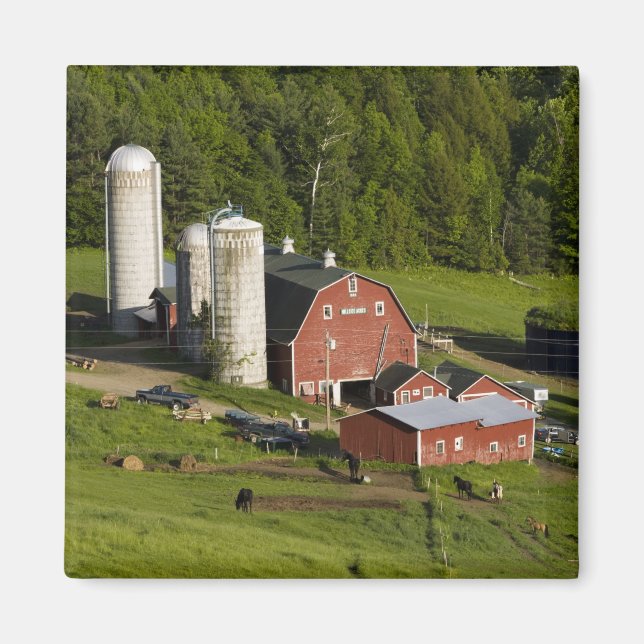 Aimant Une ferme à Barnet Center, Vermont. Connecticut (Devant)