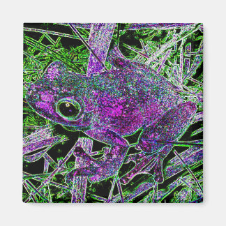 Aimant Une grenouille violette dans le tribunal des Merve