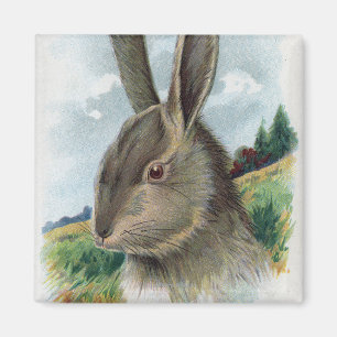 Aimant Une joyeuse scène de lapin gris Eastertide