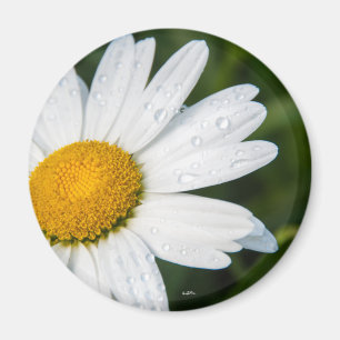 Aimant Une margueritte, police vert
