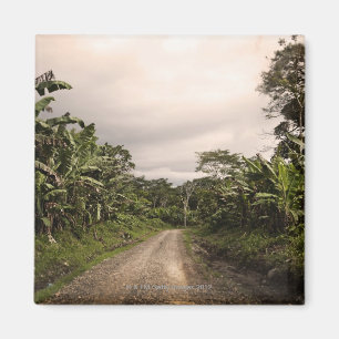 Aimant Une route à distance de jungle