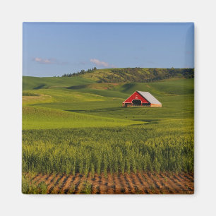 Aimant Une vue panoramique d'une grange à Moscow Idaho.