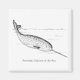Aimant Unicorne de baleine de Narwhal de la mer