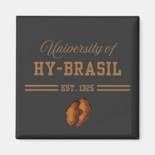 Aimant Université de Hy-Brasil, Est. 1325