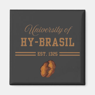 Aimant Université de Hy-Brasil, Est. 1325