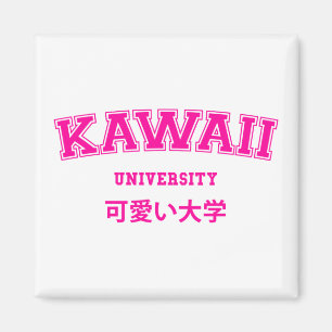 AIMANT UNIVERSITÉ DE KAWAII