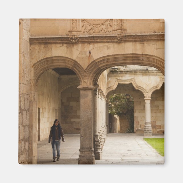 Aimant University of Salamanca (Devant)