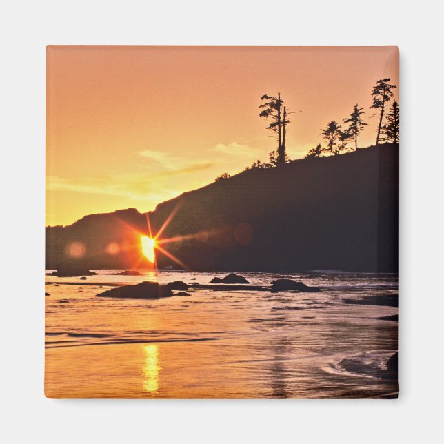 Aimant USA, Etat de Washington, Parc National Olympique.  (Devant)