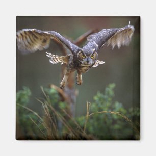 Aimant USA, Géorgie, Pine Mountain, Callaway Gardens.