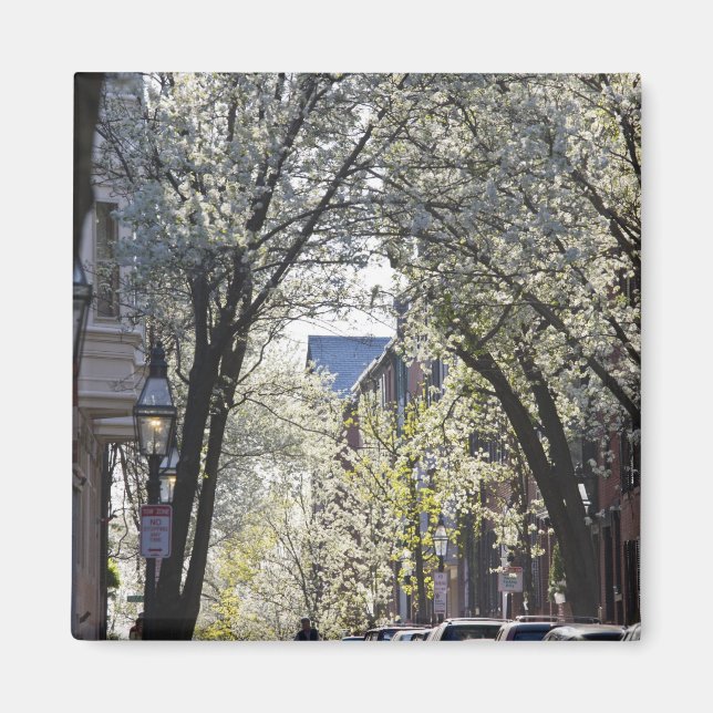 Aimant USA, Massachusetts, Boston, Beacon Hill. (Devant)