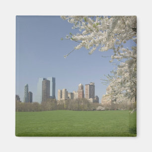 Aimant USA, New York, New York, Manhattan :19
