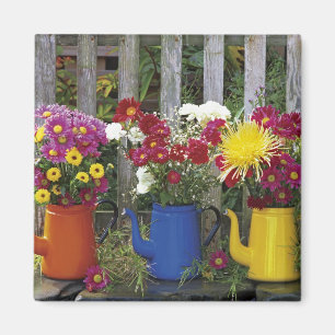 Aimant USA, Oregon, Portland. Émail antique