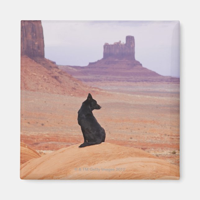 Aimant USA, Utah, Monument Valley, Chien assis sur le roc (Devant)