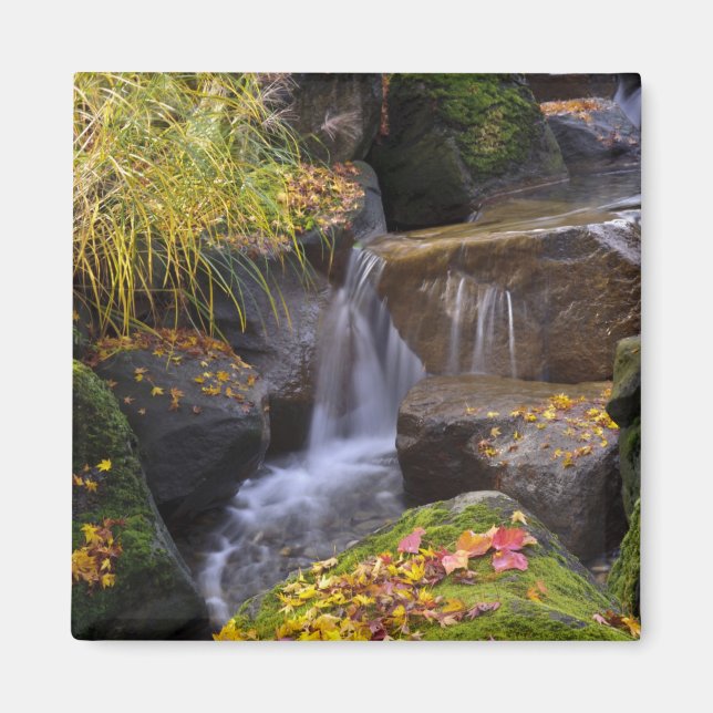 Aimant USA, Washington, Seattle (Devant)