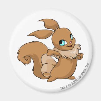 Aimant Usul Brown