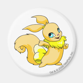 Aimant Usul jaune