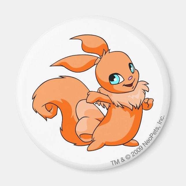 Aimant Usul Orange (Devant)